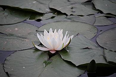 Steam用户花在今年游戏新作上的时长比去年有所上升